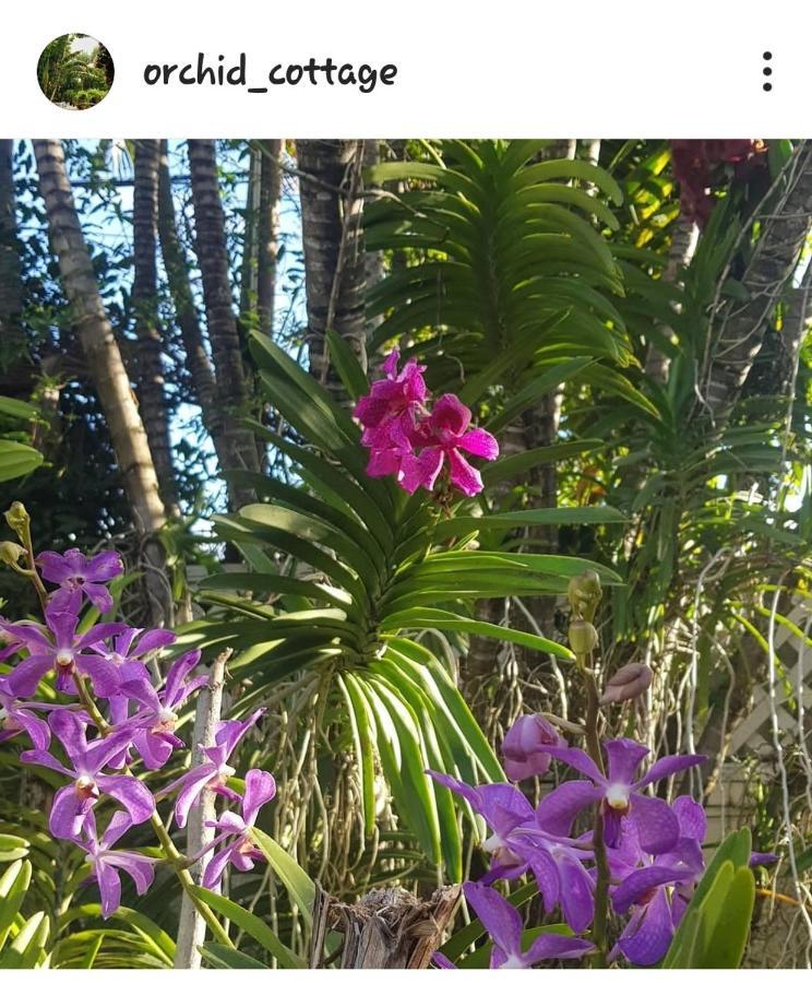Orchid Cottage Kingston Eksteriør bilde