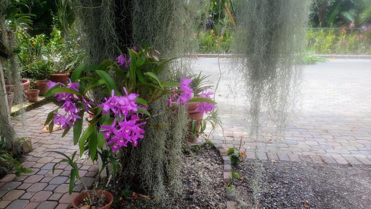 Orchid Cottage Kingston Eksteriør bilde