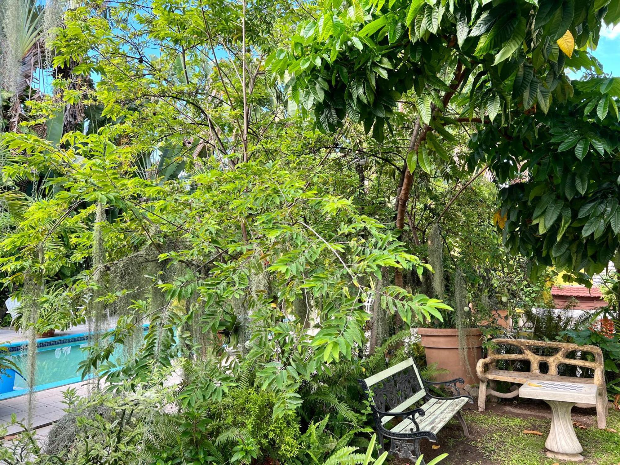 Orchid Cottage Kingston Eksteriør bilde