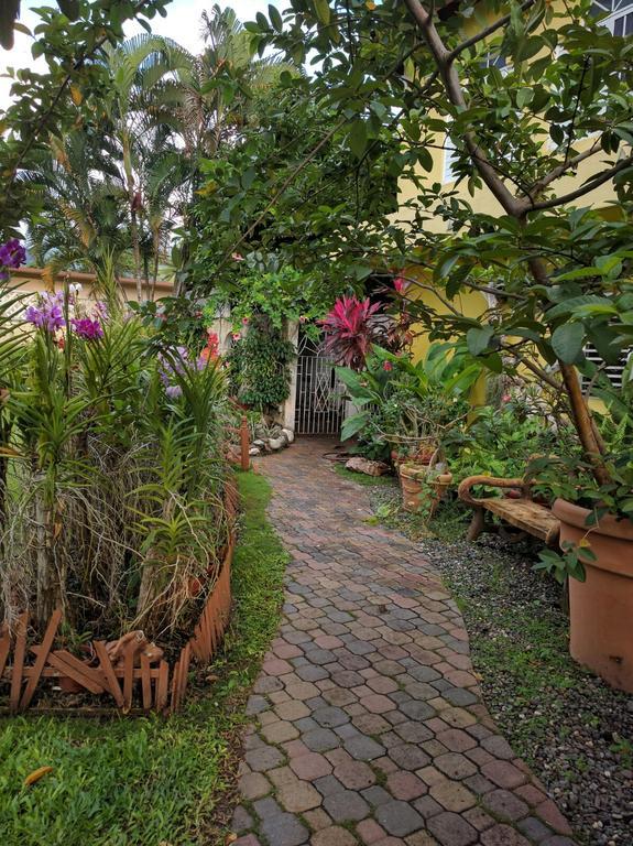 Orchid Cottage Kingston Eksteriør bilde