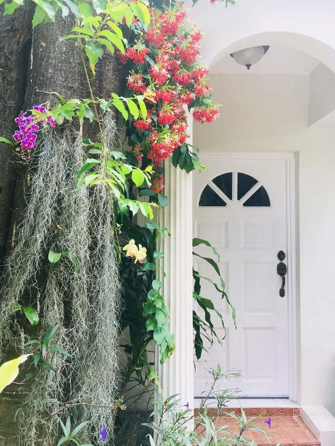Orchid Cottage Kingston Eksteriør bilde