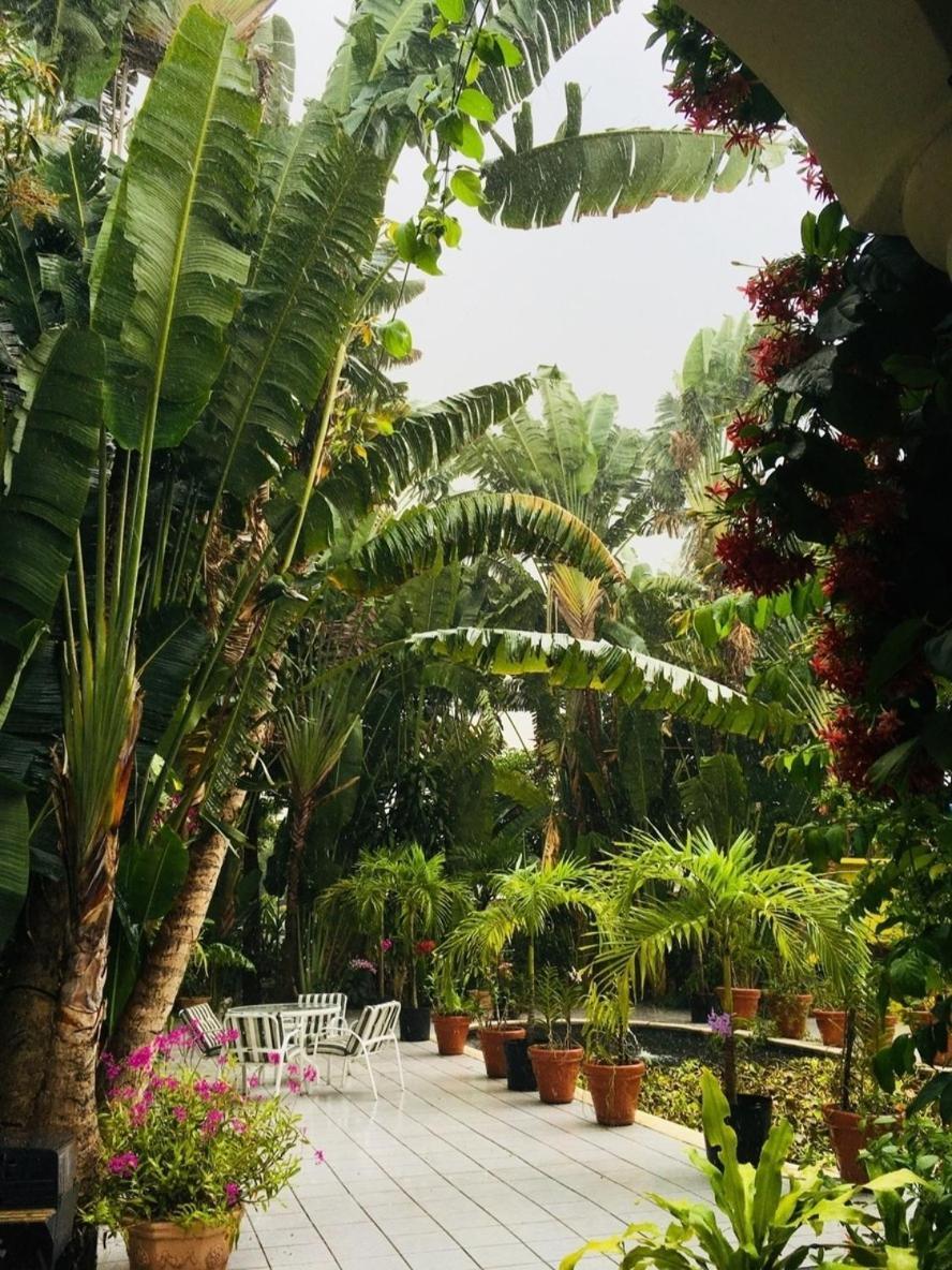 Orchid Cottage Kingston Rom bilde