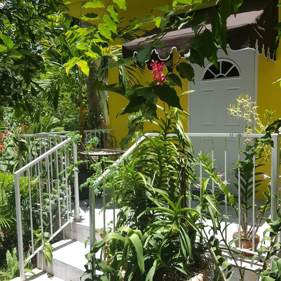 Orchid Cottage Kingston Eksteriør bilde
